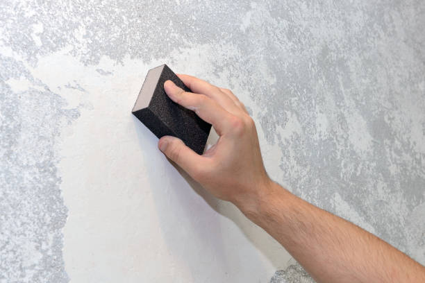 Best Commercial Mold Inspection  in Friona, TX