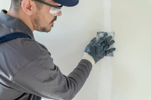 Best Environmental Consulting for Mold Prevention  in Friona, TX