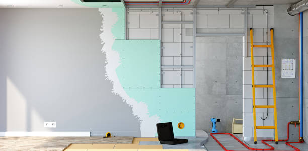 Best Attic Mold Removal  in Friona, TX