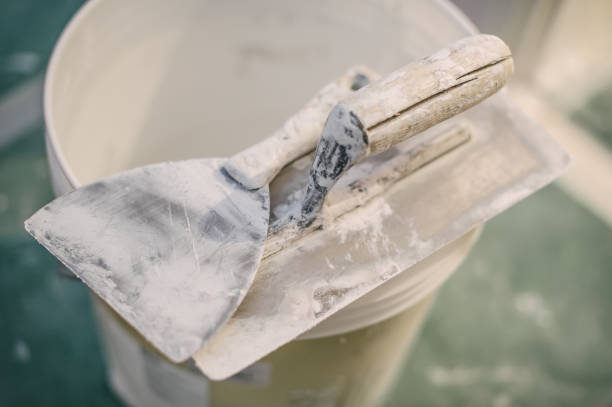 Best Mold Removal for HVAC Installations  in Friona, TX
